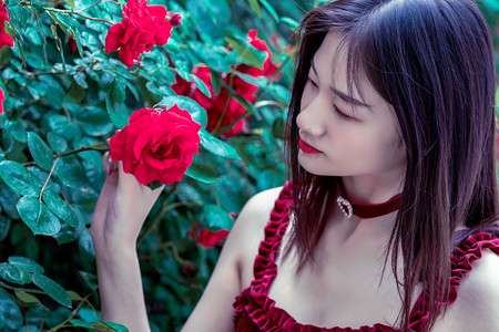 京津冀地区精品盆景吸引市民参观